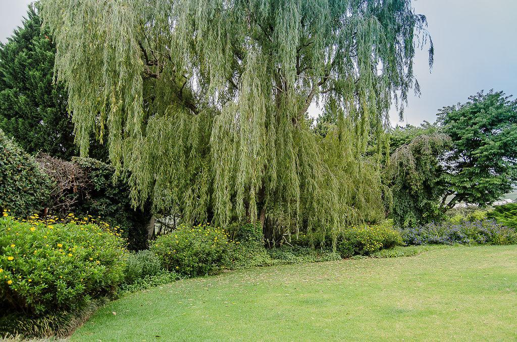 Glen Ormond Country House Henburg Park Bagian luar foto