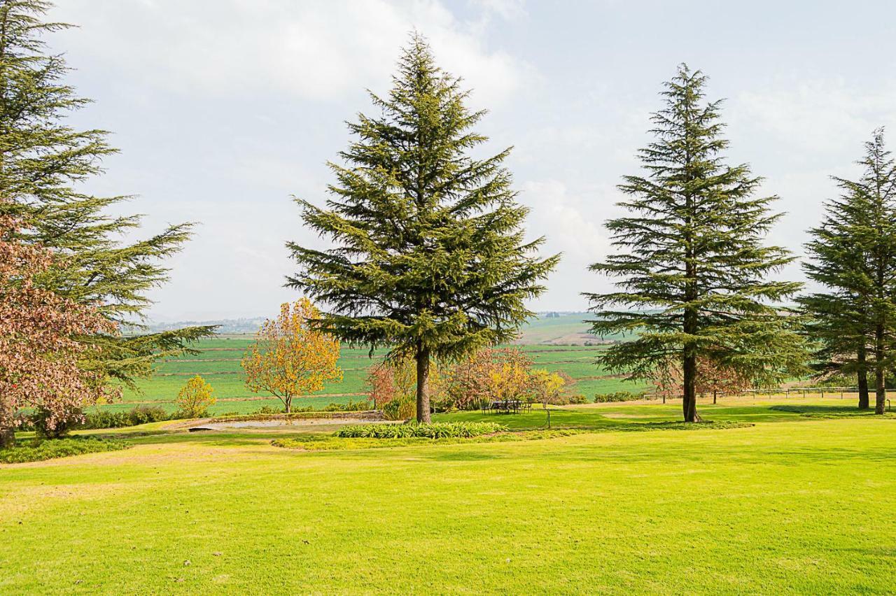 Glen Ormond Country House Henburg Park Bagian luar foto